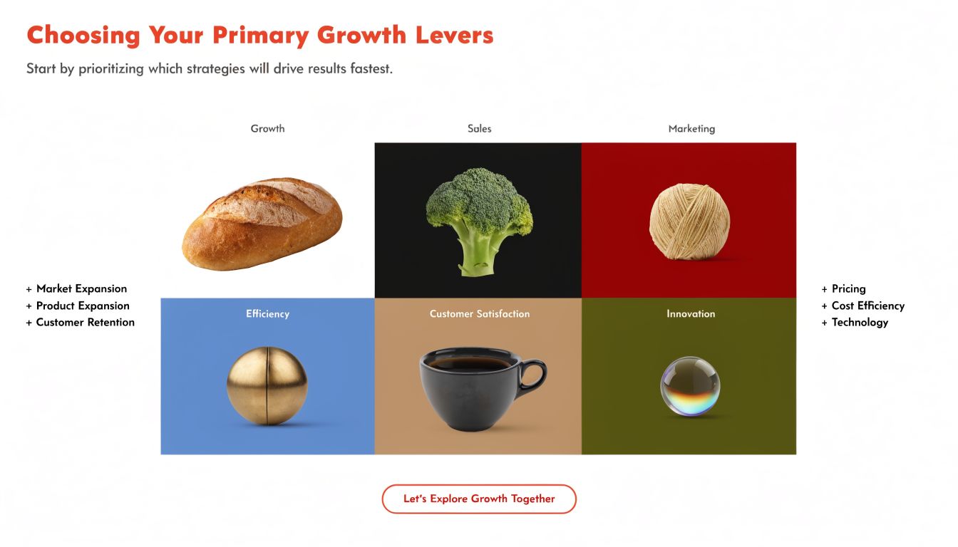 A graphic diagram titled Choosing Your Primary Growth Levers, featuring six categories illustrated with various everyday objects.